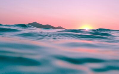 Basics_3: Gesetz der Anziehungskraft